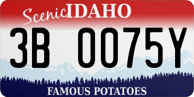 ID license plate 3B0075Y
