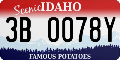 ID license plate 3B0078Y