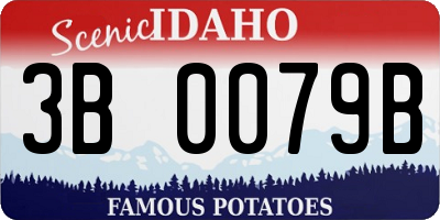 ID license plate 3B0079B