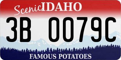 ID license plate 3B0079C