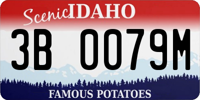 ID license plate 3B0079M