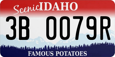 ID license plate 3B0079R
