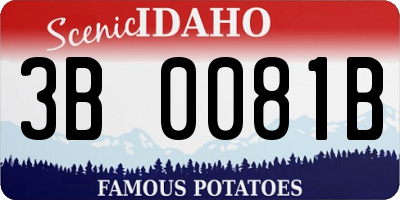 ID license plate 3B0081B