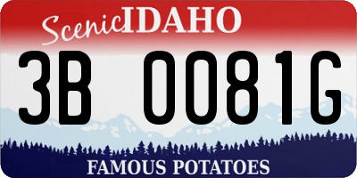 ID license plate 3B0081G