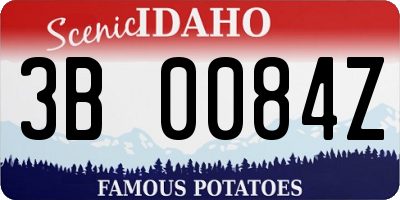 ID license plate 3B0084Z