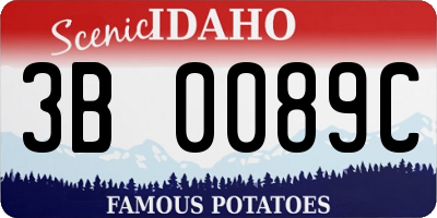 ID license plate 3B0089C