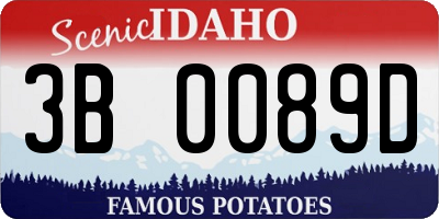 ID license plate 3B0089D