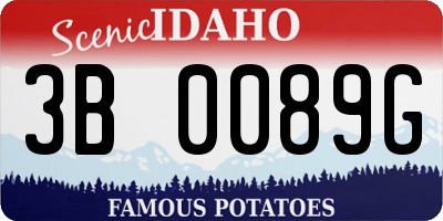 ID license plate 3B0089G