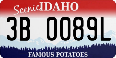 ID license plate 3B0089L