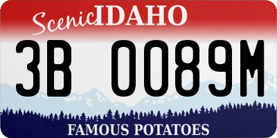 ID license plate 3B0089M
