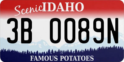 ID license plate 3B0089N