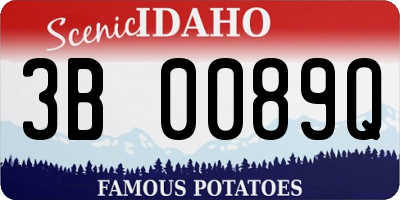 ID license plate 3B0089Q
