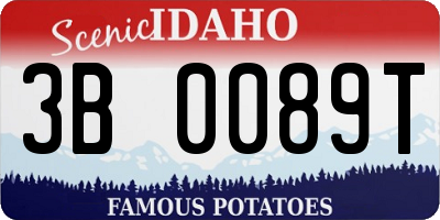 ID license plate 3B0089T