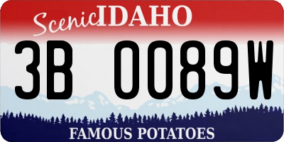 ID license plate 3B0089W