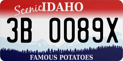 ID license plate 3B0089X