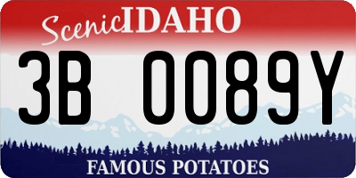 ID license plate 3B0089Y