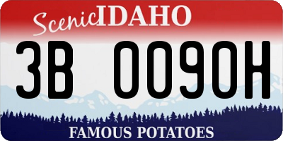 ID license plate 3B0090H