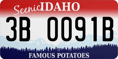 ID license plate 3B0091B