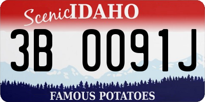ID license plate 3B0091J