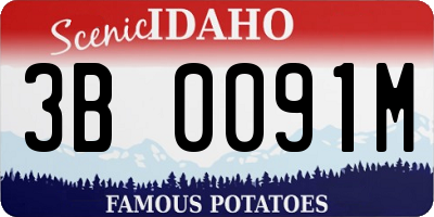 ID license plate 3B0091M