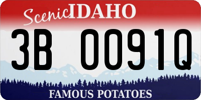 ID license plate 3B0091Q