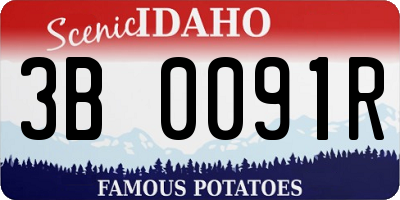 ID license plate 3B0091R