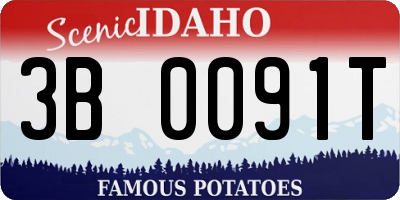 ID license plate 3B0091T