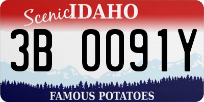 ID license plate 3B0091Y