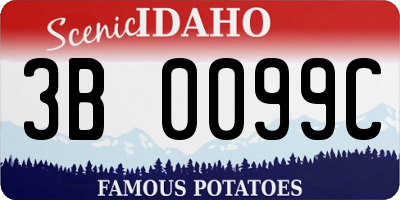 ID license plate 3B0099C