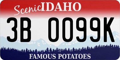 ID license plate 3B0099K