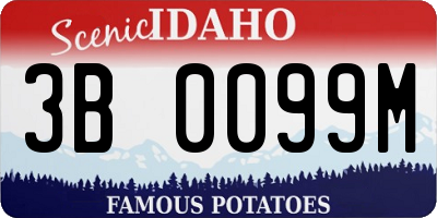 ID license plate 3B0099M