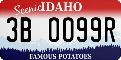 ID license plate 3B0099R
