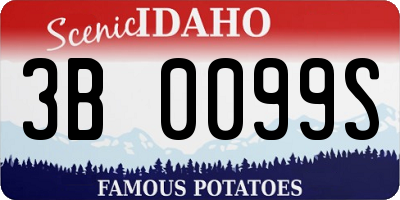 ID license plate 3B0099S