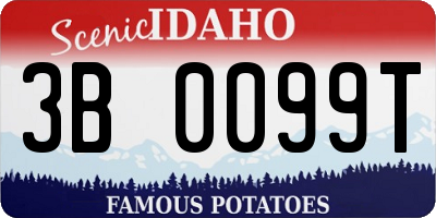 ID license plate 3B0099T