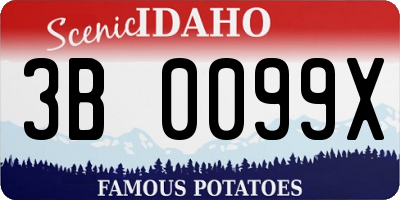 ID license plate 3B0099X