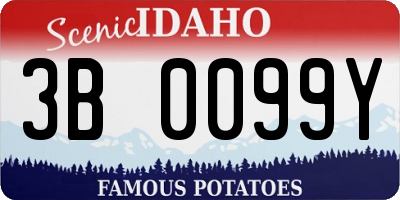 ID license plate 3B0099Y