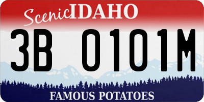 ID license plate 3B0101M