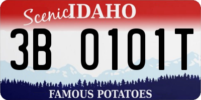 ID license plate 3B0101T