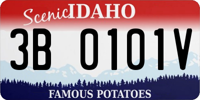 ID license plate 3B0101V