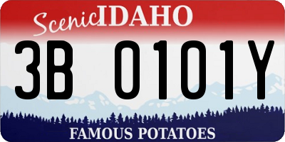 ID license plate 3B0101Y