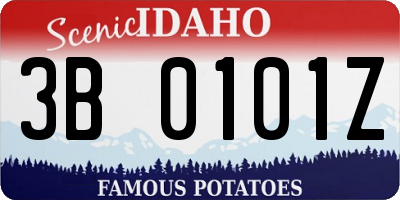 ID license plate 3B0101Z