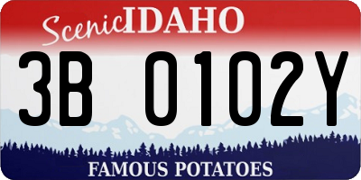 ID license plate 3B0102Y