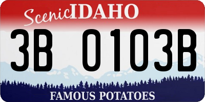 ID license plate 3B0103B