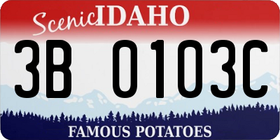 ID license plate 3B0103C