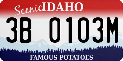 ID license plate 3B0103M