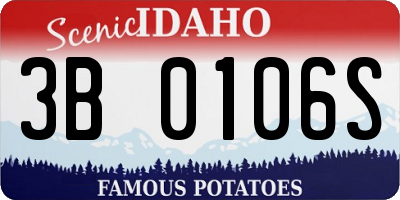 ID license plate 3B0106S