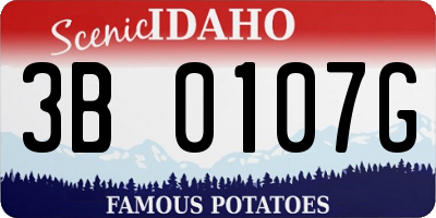 ID license plate 3B0107G
