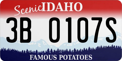 ID license plate 3B0107S