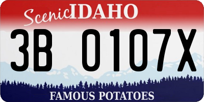 ID license plate 3B0107X