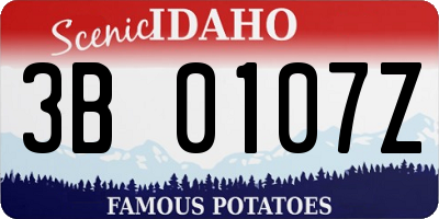ID license plate 3B0107Z